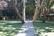 Enlarge photo 138