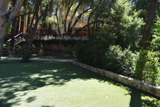 Enlarge photo 139