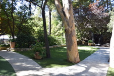 Enlarge photo 141