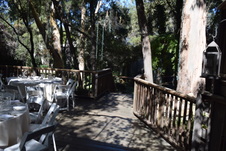 Enlarge photo 146
