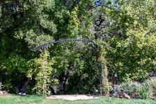 Enlarge photo 21