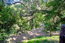 Enlarge photo 26