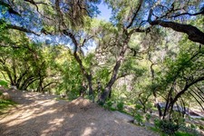 Enlarge photo 27