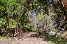 Enlarge photo 34
