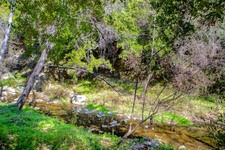 Enlarge photo 35