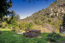 Enlarge photo 64