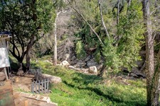 Enlarge photo 80