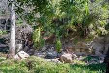 Enlarge photo 81