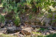 Enlarge photo 82