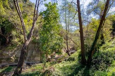Enlarge photo 83
