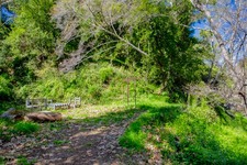 Enlarge photo 90