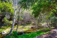 Enlarge photo 91