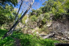 Enlarge photo 92