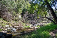 Enlarge photo 93