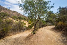 Enlarge photo 102