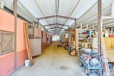 Enlarge photo 129