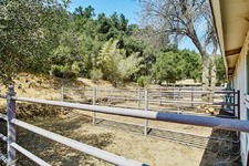 Enlarge photo 130
