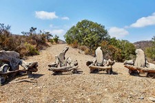 Enlarge photo 137