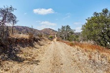 Enlarge photo 138