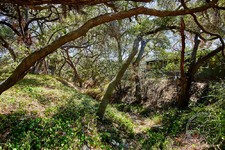 Enlarge photo 148