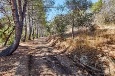 Enlarge photo 152