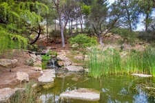 Enlarge photo 70