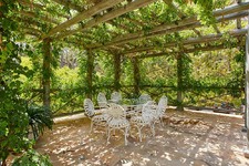 Enlarge photo 78
