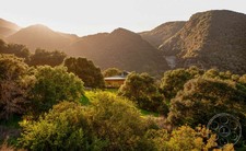 Topanga Retreat IMAGE
