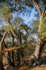 Enlarge photo 31