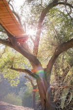 Enlarge photo 34