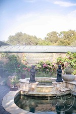 Enlarge photo 35