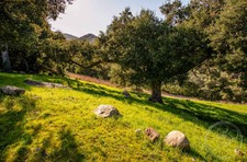Enlarge photo 38