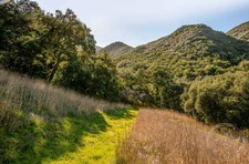 Enlarge photo 39