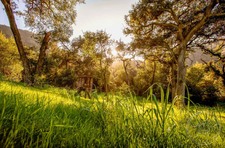 Enlarge photo 44