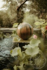 Enlarge photo 58