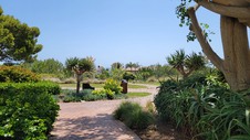 Enlarge photo 13