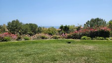 Enlarge photo 18