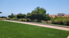 Enlarge photo 27