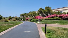 Enlarge photo 29