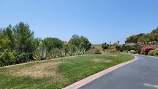 Enlarge photo 30
