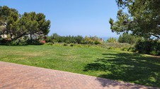 Enlarge photo 36