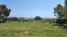 Enlarge photo 37