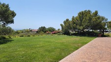 Enlarge photo 39