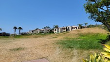 Enlarge photo 42