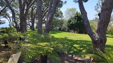 Enlarge photo 6