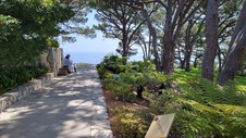 Enlarge photo 7