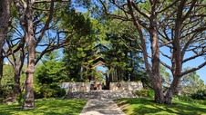 Enlarge photo 13