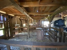 Enlarge photo 33