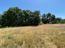 Enlarge photo 44