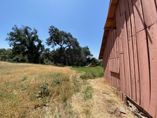 Enlarge photo 46